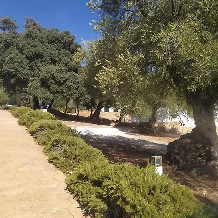 Cortijo La Cañada Estepa